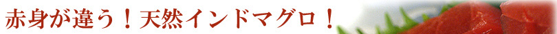 赤身が違う！天然インドマグロ！